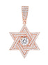 תליון SSI1003-2